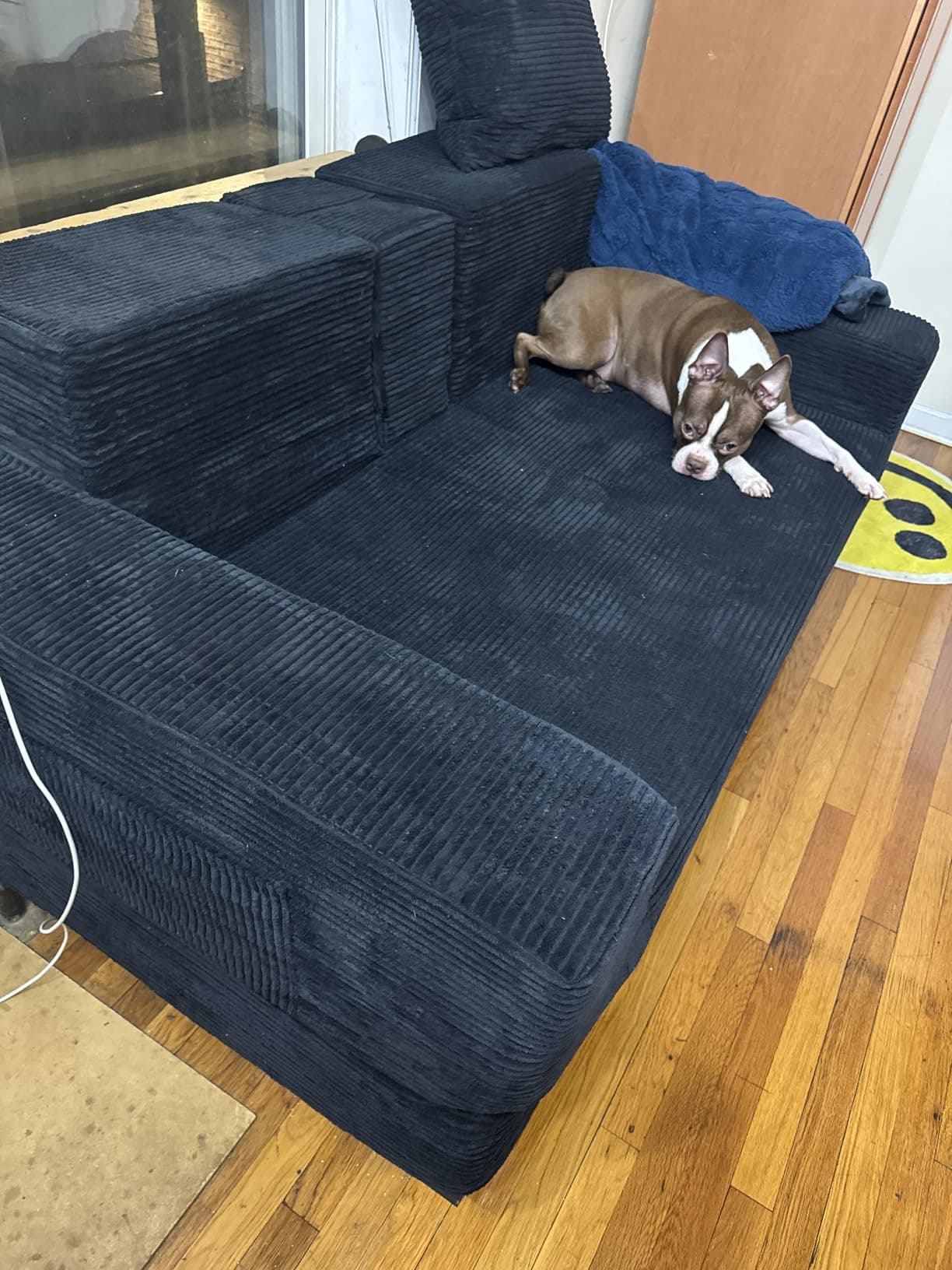 Evvo loveseat folded mode