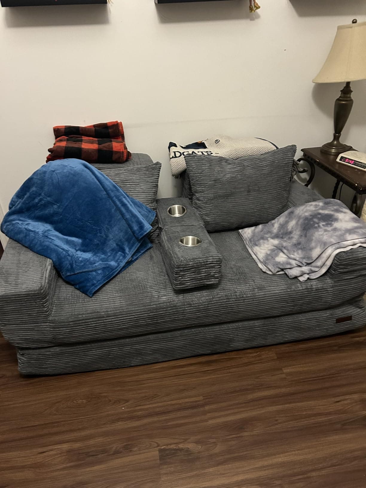 Evvo loveseat in living room